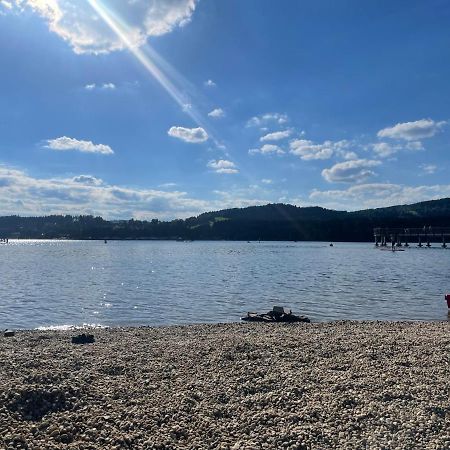 Apartman 511 Lipno nad Vltavou Eksteriør billede